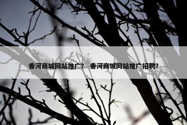 香河商城网站推广？ 香河商城网站推广招聘？