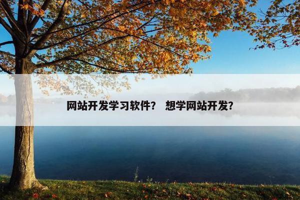 网站开发学习软件？ 想学网站开发？