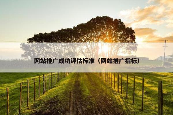 网站推广成功评估标准（网站推广指标）