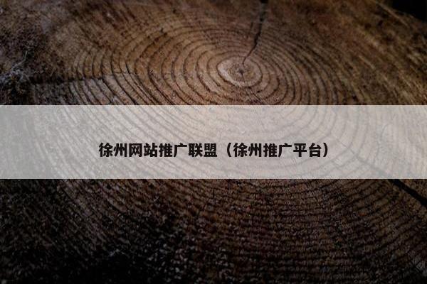 徐州网站推广联盟（徐州推广平台）