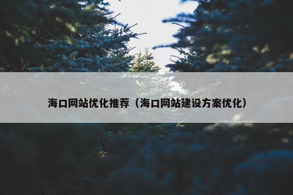 海口网站优化推荐（海口网站建设方案优化）