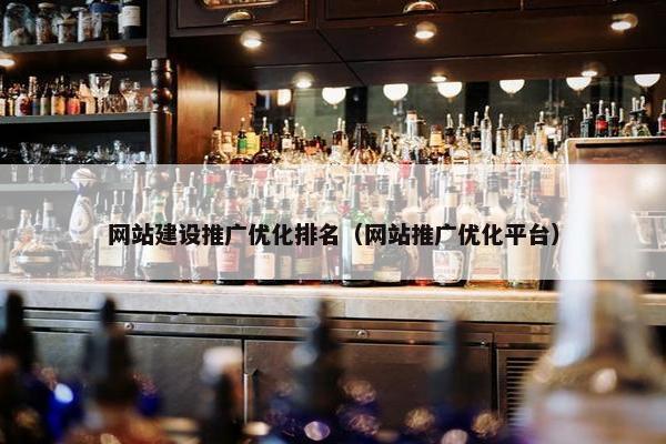 网站建设推广优化排名（网站推广优化平台）