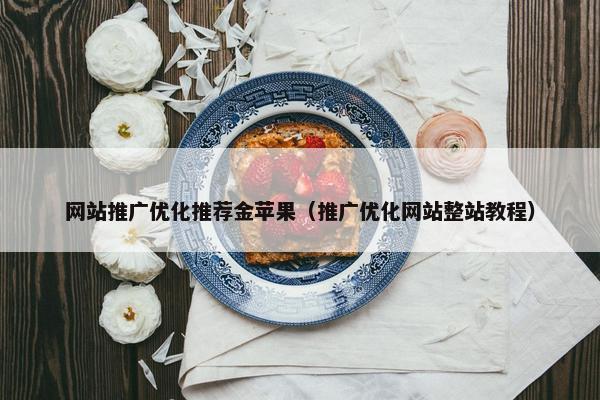 网站推广优化推荐金苹果（推广优化网站整站教程）