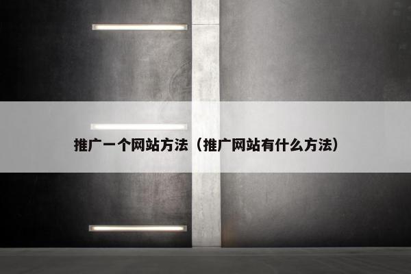 推广一个网站方法（推广网站有什么方法）