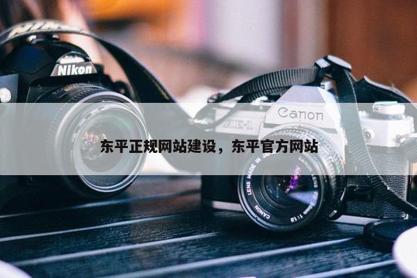 东平正规网站建设，东平官方网站