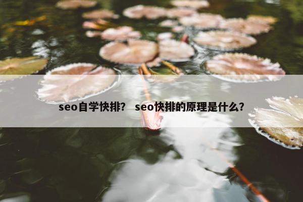 seo自学快排？ seo快排的原理是什么？