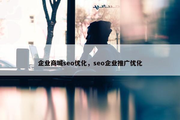 企业商城seo优化，seo企业推广优化