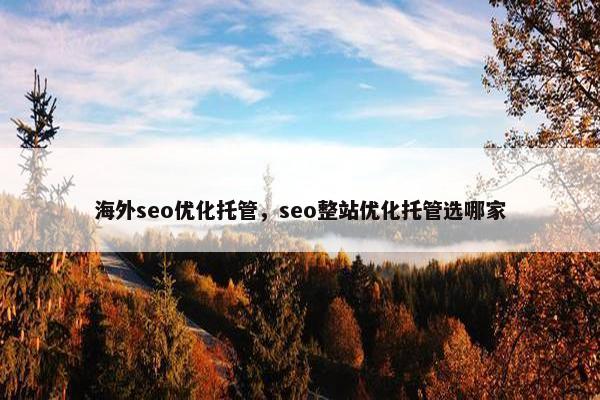 海外seo优化托管，seo整站优化托管选哪家