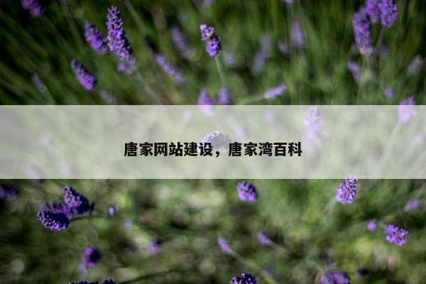 唐家网站建设，唐家湾百科