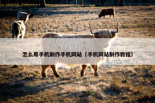 怎么用手机制作手机网站（手机网站制作教程）