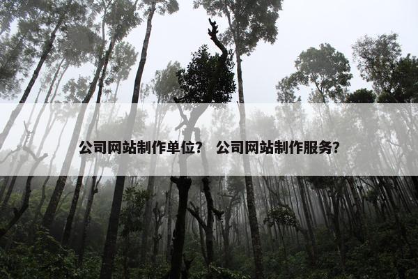 公司网站制作单位？ 公司网站制作服务？