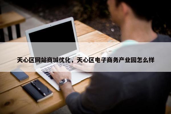 天心区网站商城优化，天心区电子商务产业园怎么样