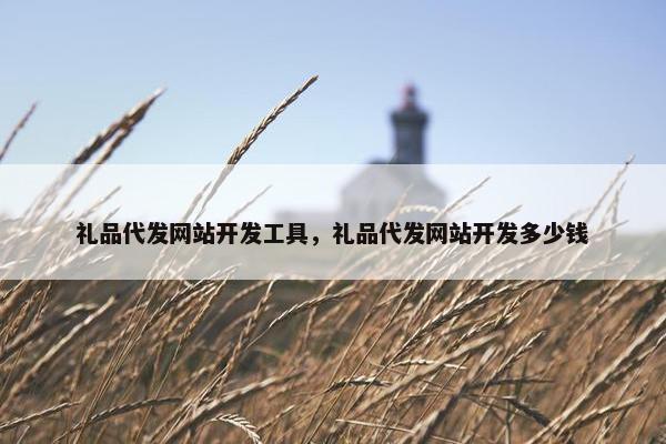 礼品代发网站开发工具，礼品代发网站开发多少钱