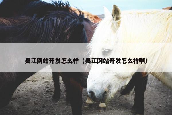 吴江网站开发怎么样（吴江网站开发怎么样啊）