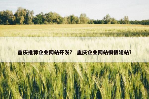 重庆推荐企业网站开发？ 重庆企业网站模板建站？