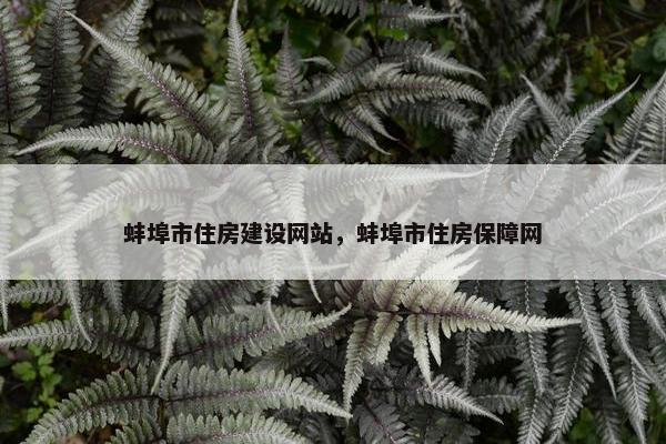 蚌埠市住房建设网站，蚌埠市住房保障网