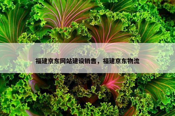 福建京东网站建设销售，福建京东物流