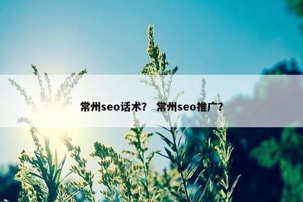 常州seo话术？ 常州seo推广？