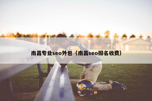 南昌专业seo外包（南昌seo排名收费）