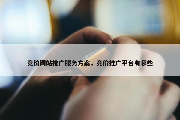 竞价网站推广服务方案，竞价推广平台有哪些
