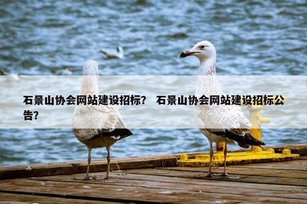 石景山协会网站建设招标？ 石景山协会网站建设招标公告？