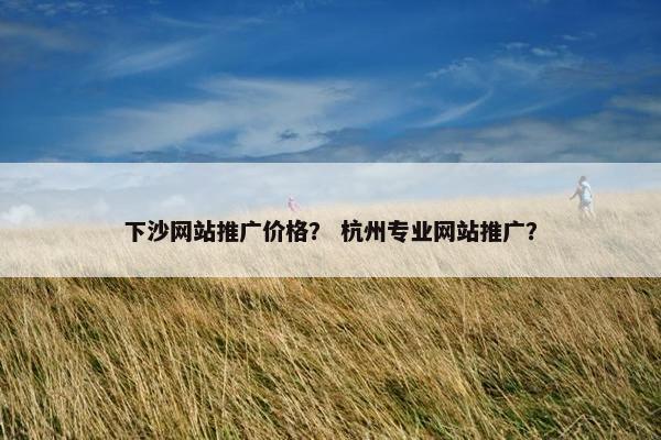 下沙网站推广价格？ 杭州专业网站推广？