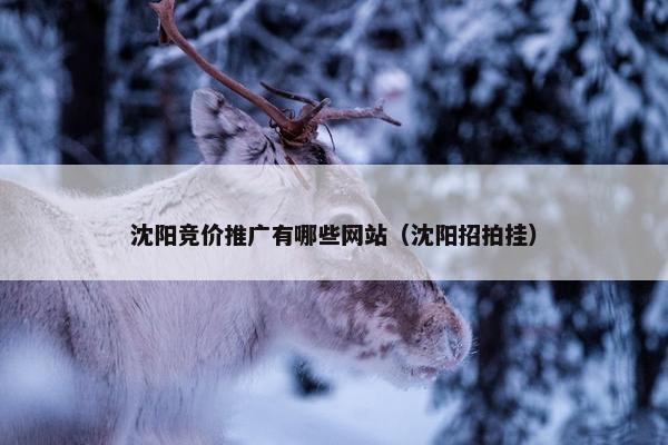 沈阳竞价推广有哪些网站（沈阳招拍挂）