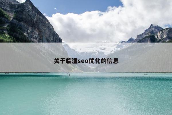 关于临潼seo优化的信息
