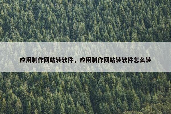 应用制作网站转软件，应用制作网站转软件怎么转