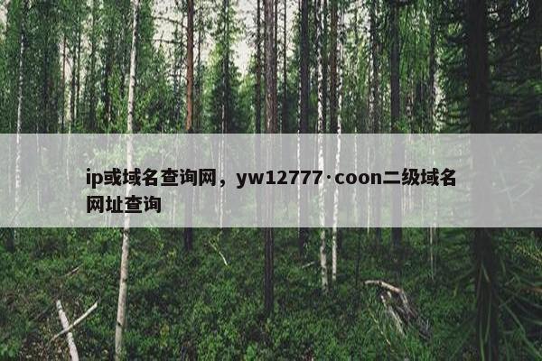 ip或域名查询网，yw12777·coon二级域名网址查询