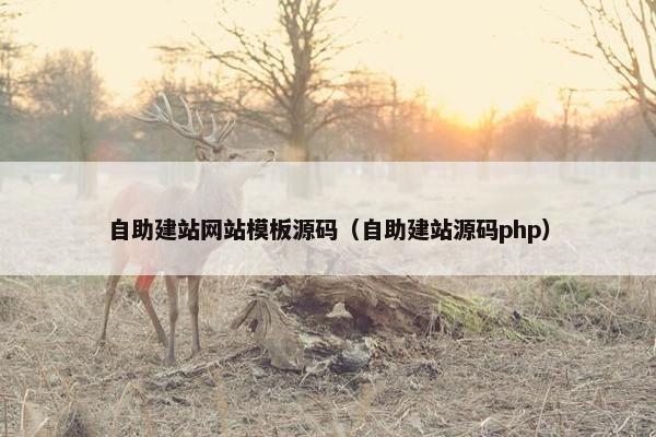 自助建站网站模板源码（自助建站源码php）