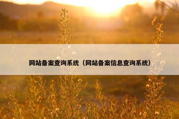 网站备案查询系统（网站备案信息查询系统）