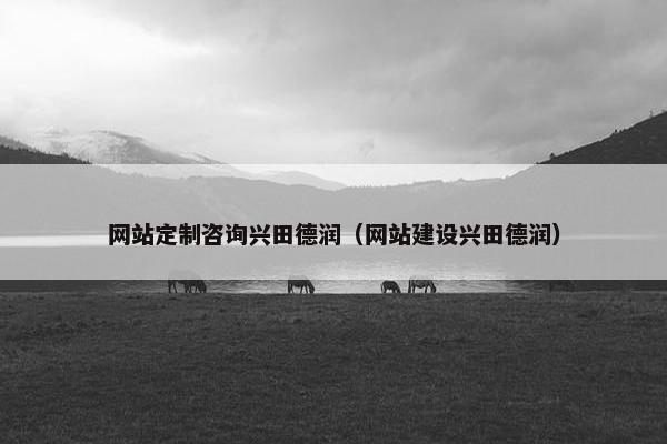 网站定制咨询兴田德润（网站建设兴田德润）