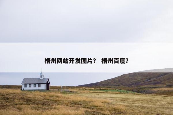 梧州网站开发图片？ 梧州百度？