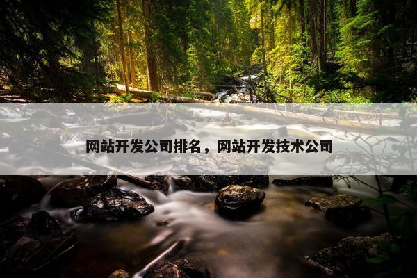 网站开发公司排名，网站开发技术公司