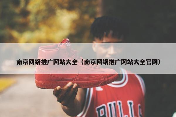 南京网络推广网站大全（南京网络推广网站大全官网）