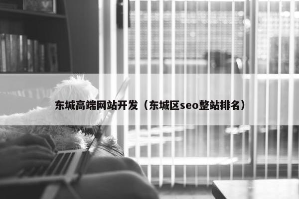东城高端网站开发（东城区seo整站排名）