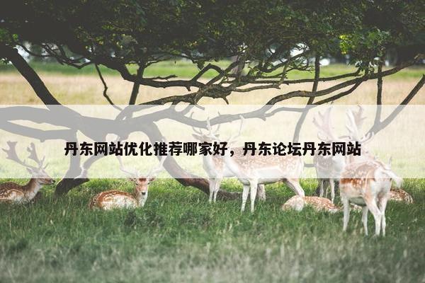 丹东网站优化推荐哪家好，丹东论坛丹东网站