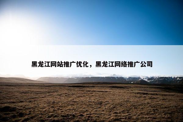 黑龙江网站推广优化，黑龙江网络推广公司