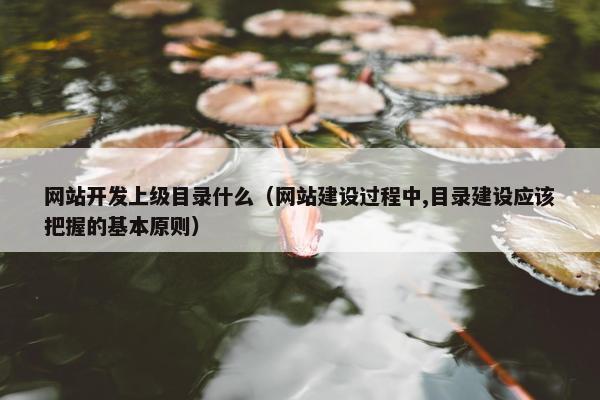 网站开发上级目录什么（网站建设过程中,目录建设应该把握的基本原则）