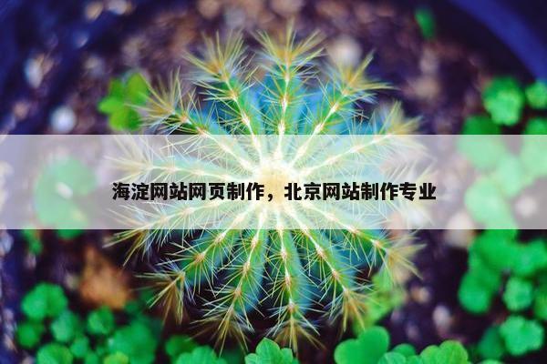 海淀网站网页制作，北京网站制作专业