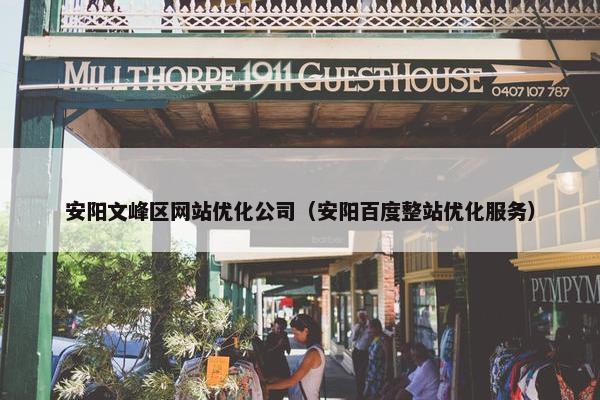 安阳文峰区网站优化公司（安阳百度整站优化服务）
