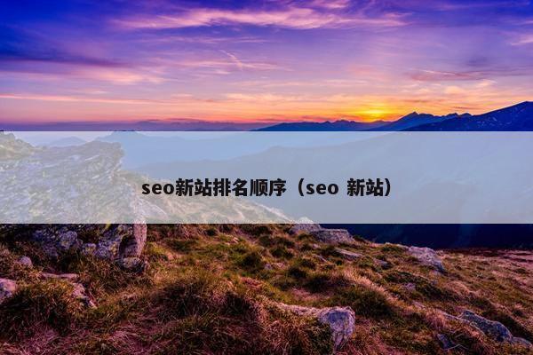 seo新站排名顺序（seo 新站）