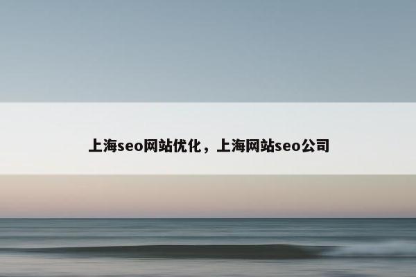 上海seo网站优化，上海网站seo公司