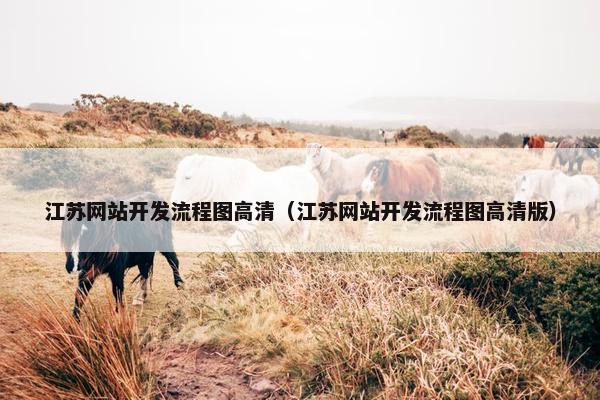 江苏网站开发流程图高清（江苏网站开发流程图高清版）