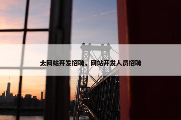 太网站开发招聘，网站开发人员招聘