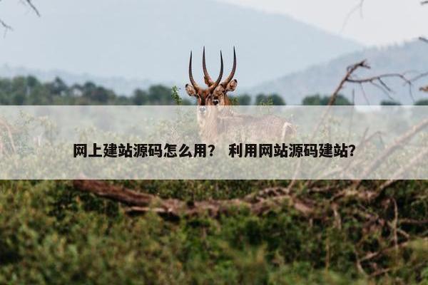 网上建站源码怎么用？ 利用网站源码建站？
