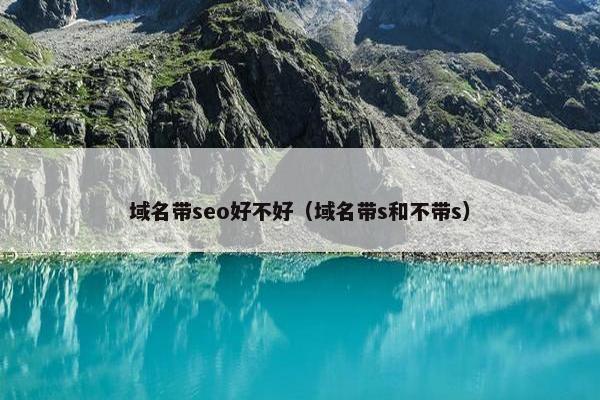 域名带seo好不好（域名带s和不带s）