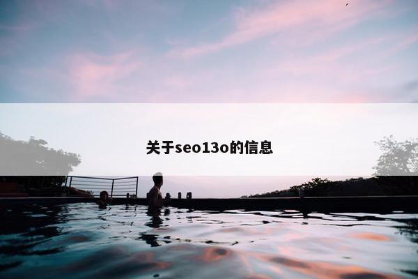 关于seo13o的信息