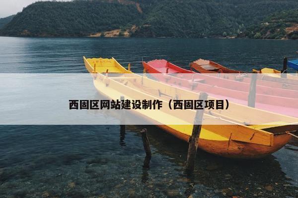 西固区网站建设制作（西固区项目）
